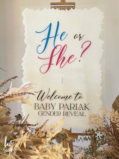 MODERN CALLIGRAPHY BABY GENDER REVEAL WELCOME SIGN / WHITE HAND PAINTED BACK (B601)